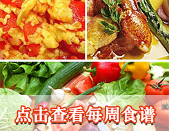 营养食谱