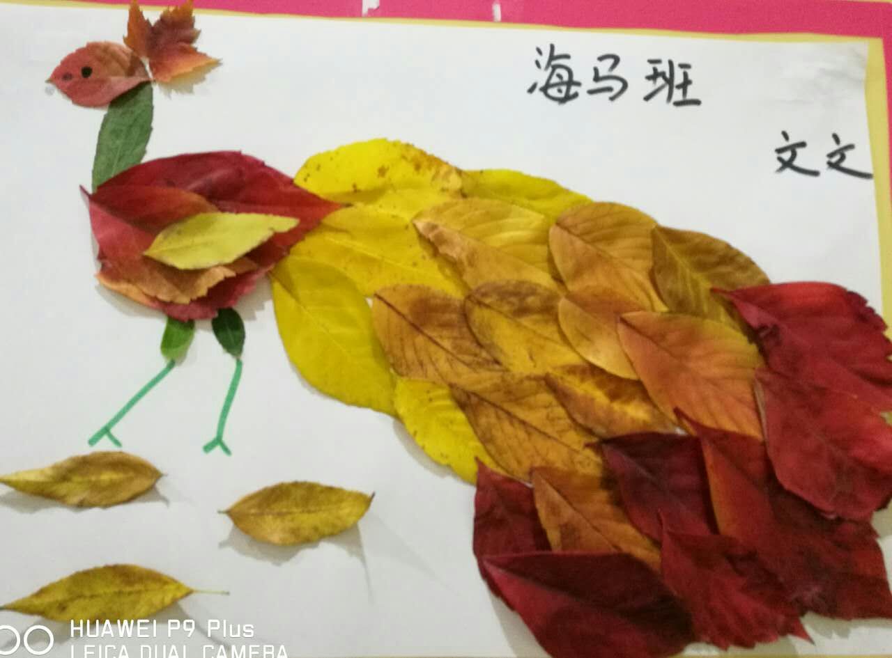 海马班 文文